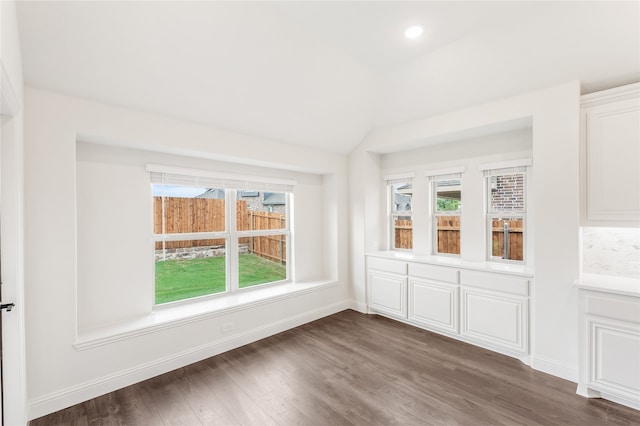 interior space featuring a healthy amount of sunlight, lofted ceiling, and dark hardwood / wood-style flooring