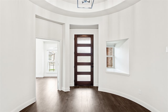 entrance foyer with dark hardwood / wood-style floors