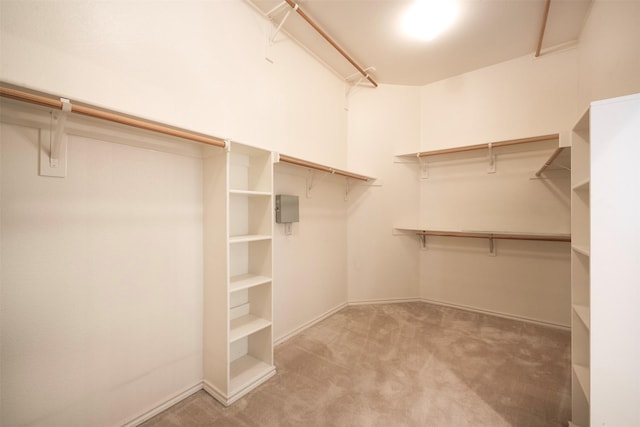 spacious closet with light colored carpet