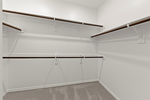 walk in closet featuring carpet