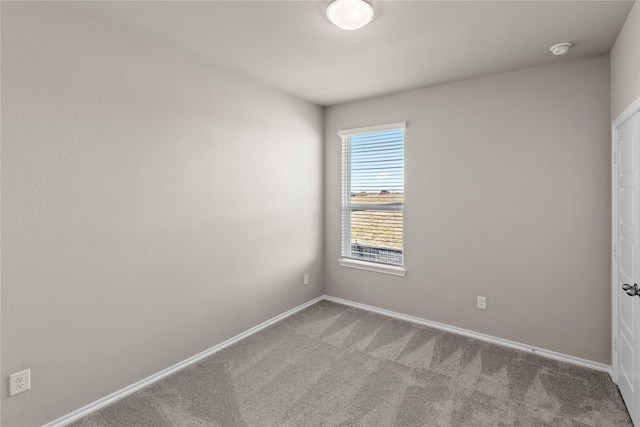 spare room featuring carpet floors