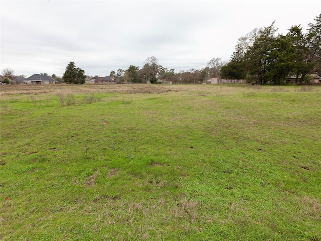 view of yard with a rural view