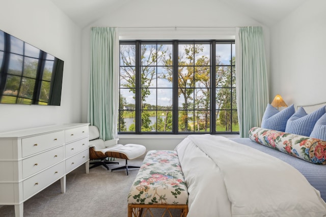 bedroom featuring carpet and multiple windows