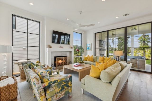 living room with ceiling fan and hardwood / wood-style floors