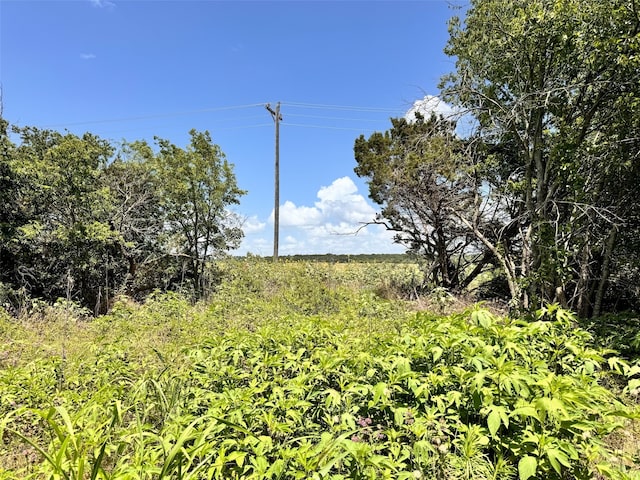 TBD Hcr-1212, Blum TX, 76627 land for sale