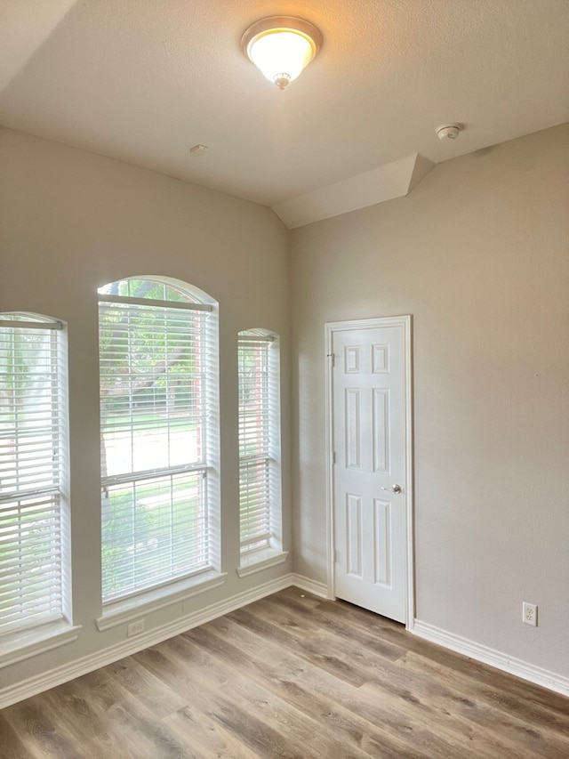 empty room with hardwood / wood-style flooring and a wealth of natural light