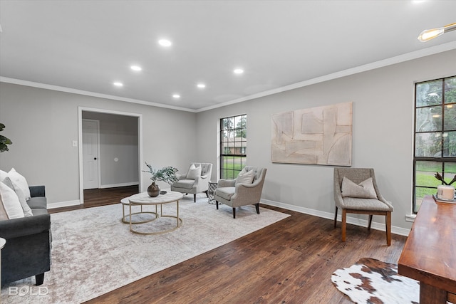 living room featuring ornamental molding and dark wood-type flooring