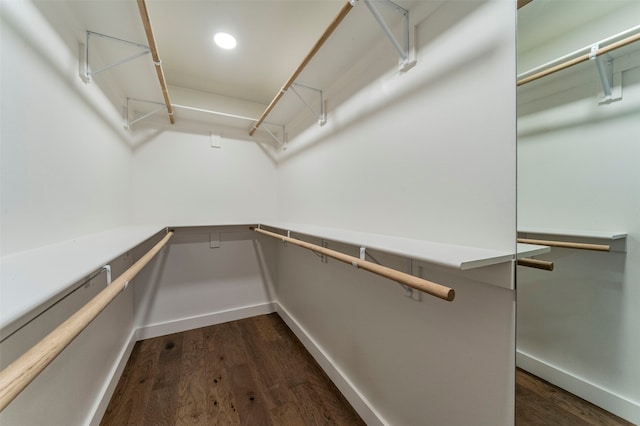 spacious closet featuring dark hardwood / wood-style flooring