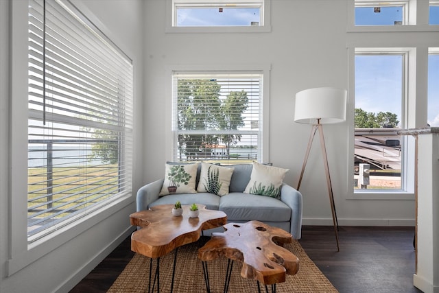 living area featuring dark hardwood / wood-style flooring