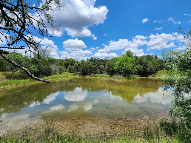 TBD County Road 105, Cisco TX, 76437 land for sale