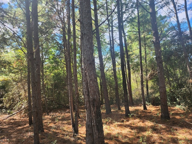 view of nature with a forest view