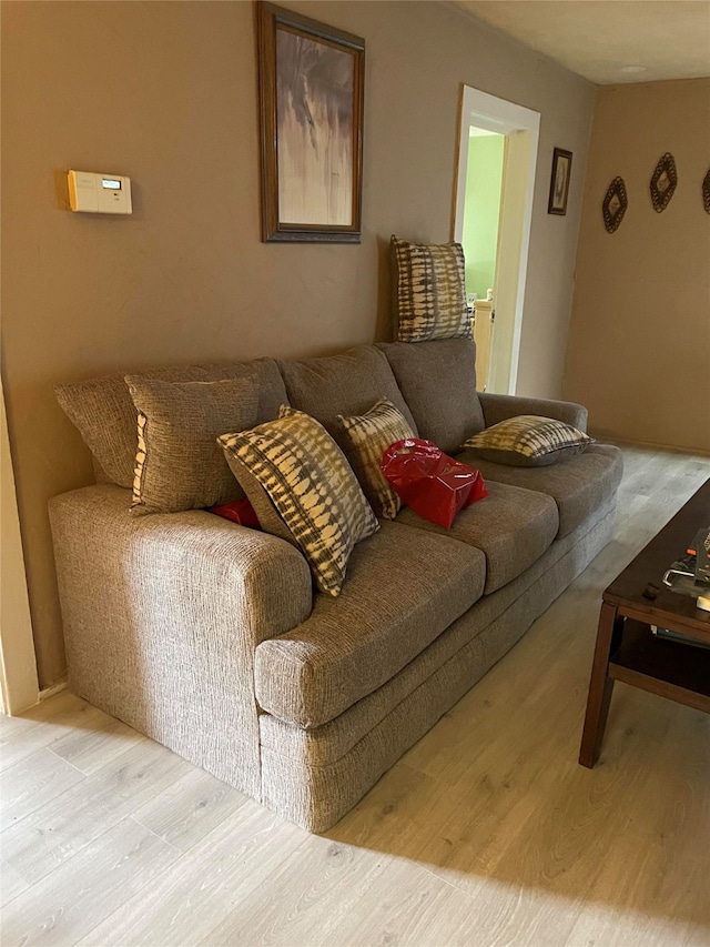 living room with light hardwood / wood-style flooring