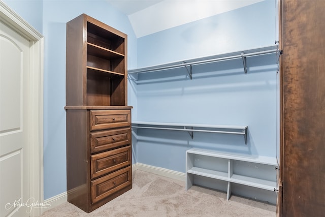 spacious closet with light carpet