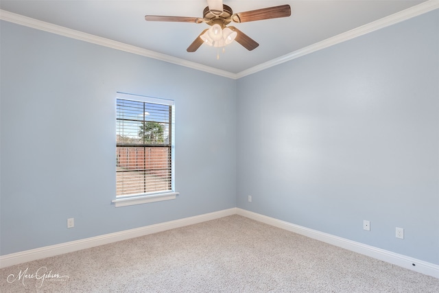 carpeted spare room with ceiling fan and ornamental molding