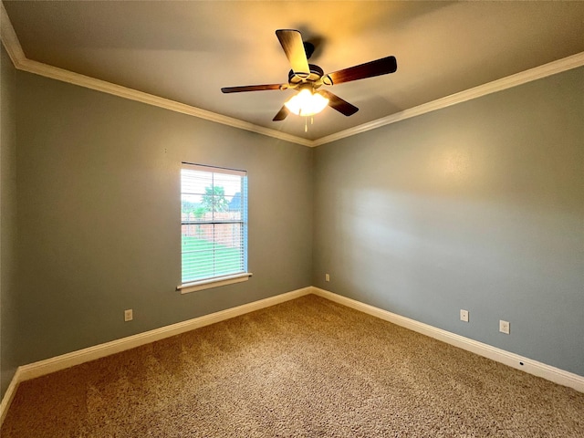 carpeted empty room with ceiling fan and ornamental molding