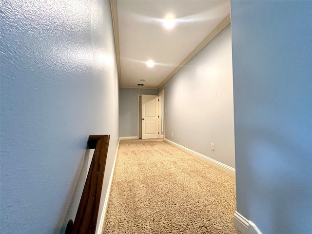 hallway featuring crown molding and carpet floors