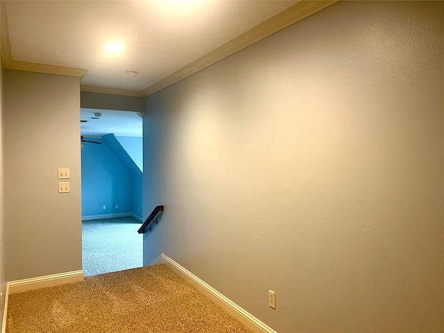 stairs featuring ornamental molding and carpet