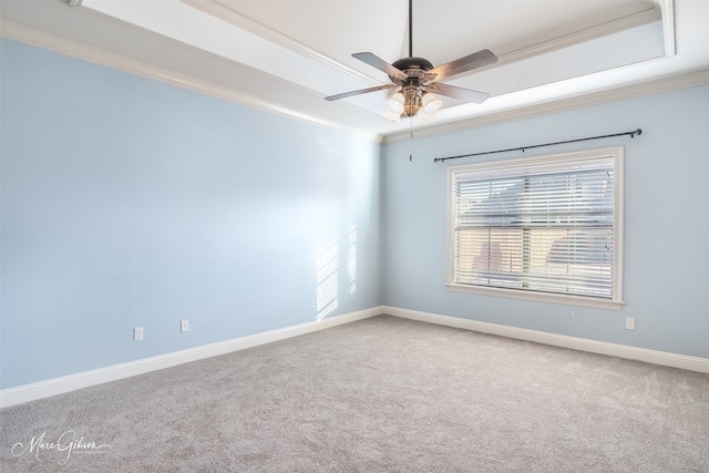 carpeted spare room featuring ceiling fan, ornamental molding, and a raised ceiling