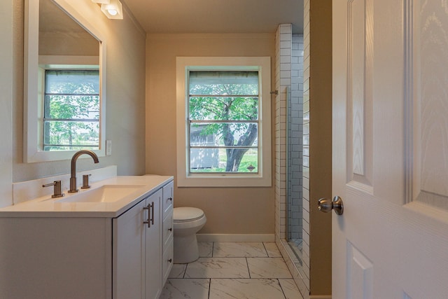 bathroom with vanity, toilet, and a wealth of natural light