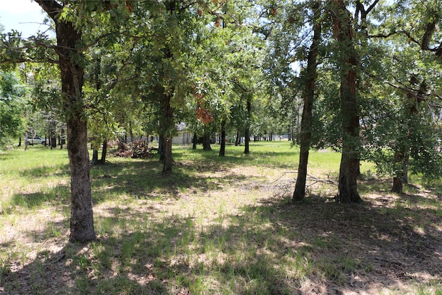 Listing photo 3 for 6 Deer Run, Star Harbor TX 75148