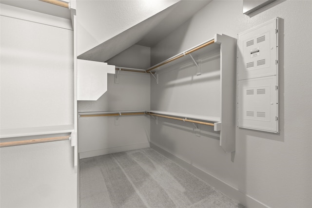 spacious closet featuring light colored carpet