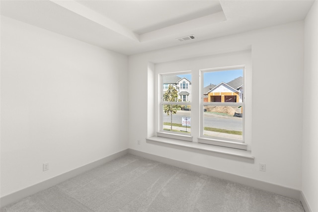 carpeted empty room with a raised ceiling