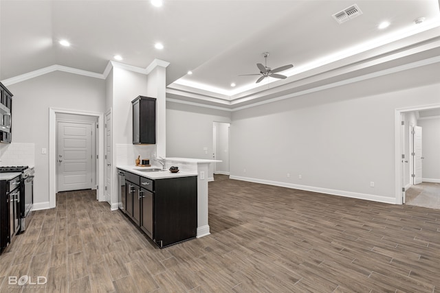 kitchen with ceiling fan, appliances with stainless steel finishes, tasteful backsplash, and wood-type flooring