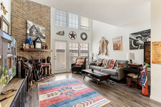 living room with a fireplace and wood-type flooring