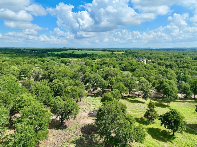 7601-B Zion Hill Rd, Poolville, TX 76487