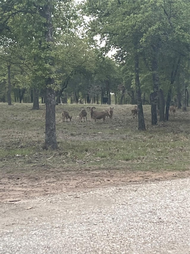 7601-B Zion Hill Rd, Poolville, TX 76487