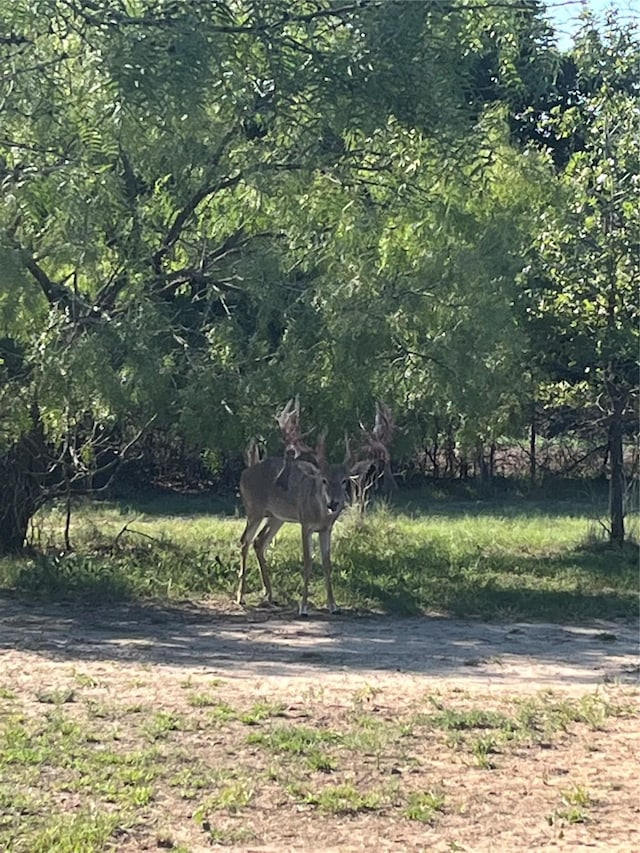 7601-B Zion Hill Rd, Poolville, TX 76487