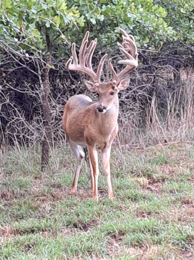 7601-B Zion Hill Rd, Poolville, TX 76487