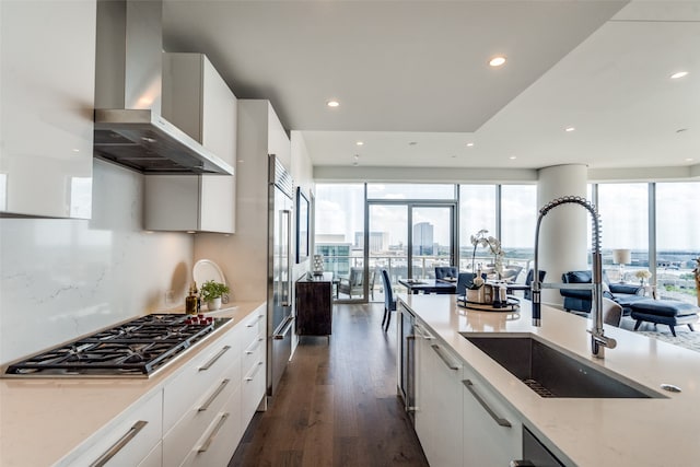 kitchen with dark hardwood / wood-style flooring, sink, wall chimney exhaust hood, appliances with stainless steel finishes, and white cabinets