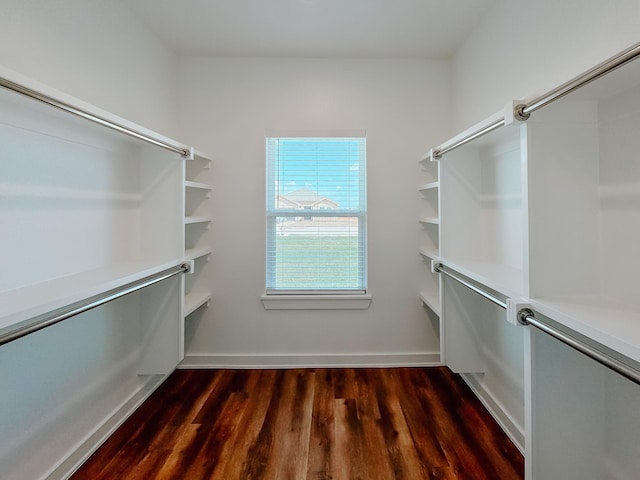 spacious closet featuring dark wood-type flooring