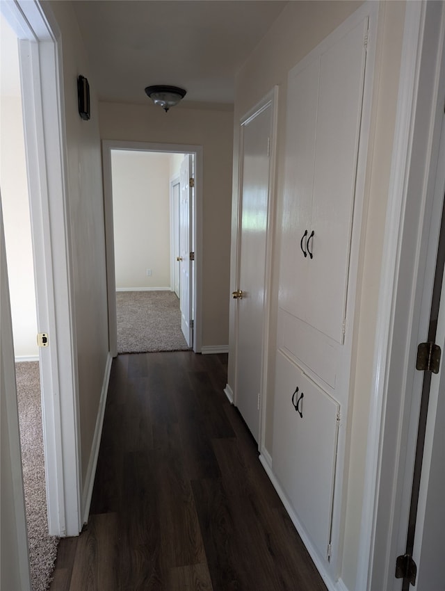 corridor featuring dark hardwood / wood-style floors