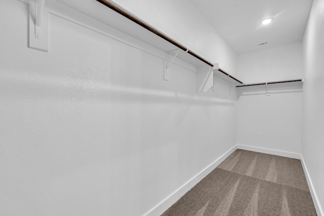 spacious closet with carpet flooring