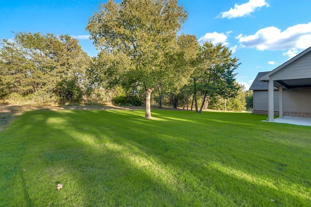 view of yard featuring a patio area