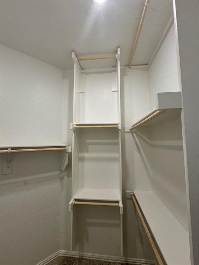 walk in closet featuring carpet flooring