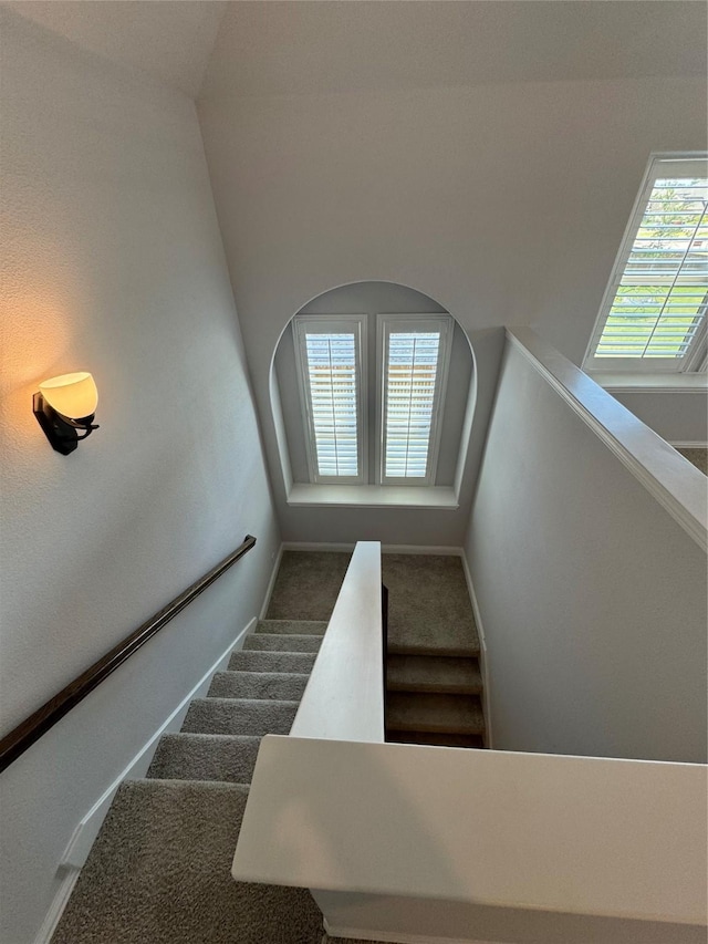 stairway with carpet floors and a wealth of natural light