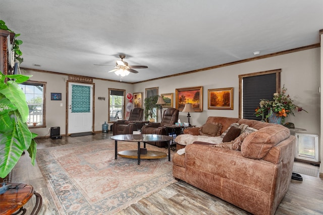 living room featuring wood-type flooring, ceiling fan, and a healthy amount of sunlight