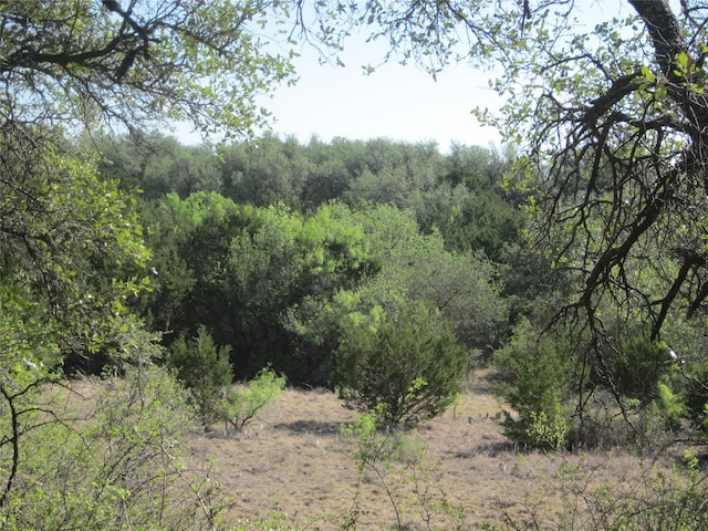 Listing photo 2 for TBD Cr 484, Baird TX 79504