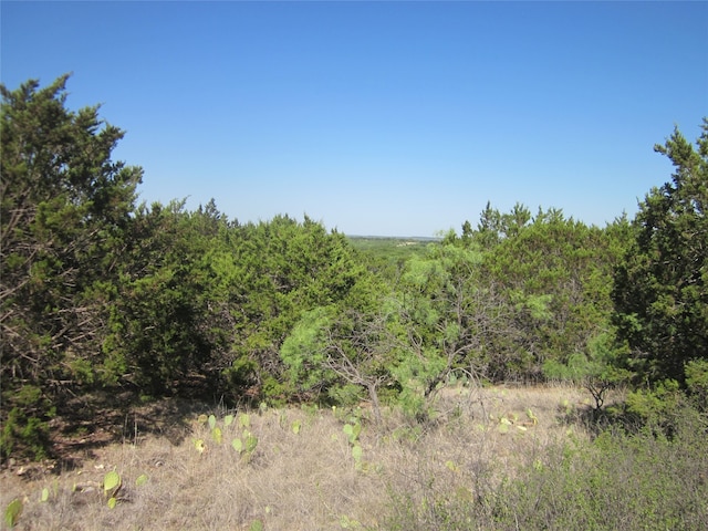 Listing photo 3 for TBD Cr 484, Baird TX 79504