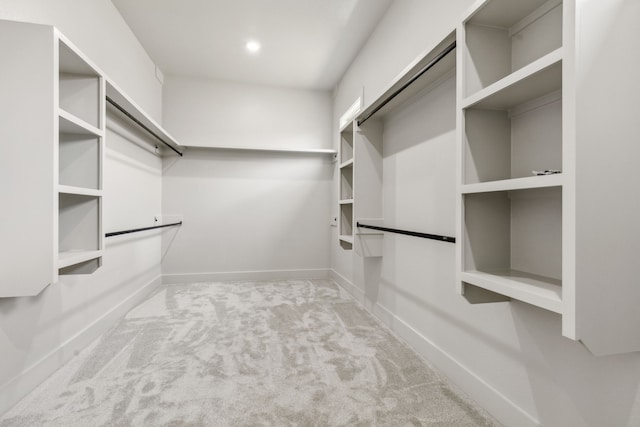 spacious closet with light carpet