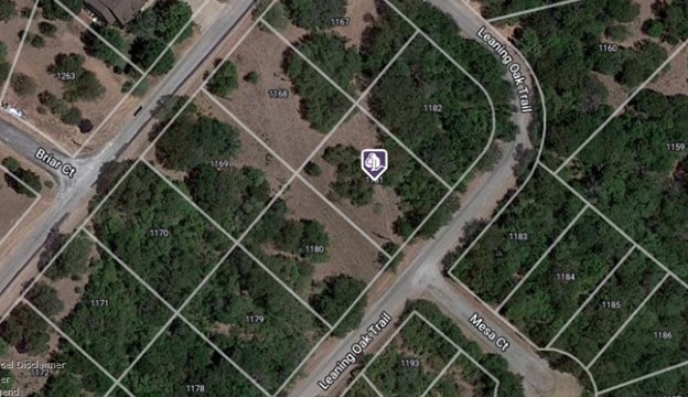 1181 Leaning Oak Trl, Whitney, TX 76692