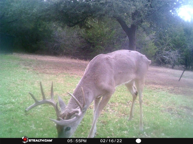 1181 Leaning Oak Trl, Whitney, TX 76692