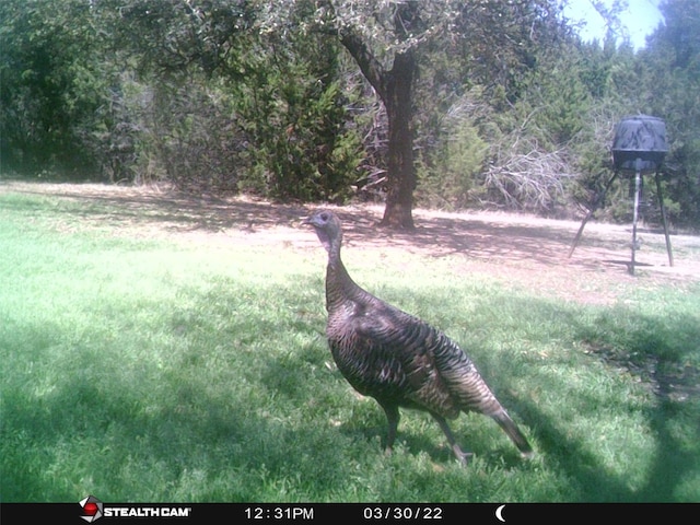 1181 Leaning Oak Trl, Whitney, TX 76692