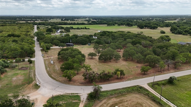 Listing photo 3 for 1991 Sunflower Rd Lot 4, Bridgeport TX 76073