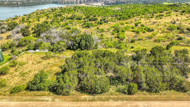 Listing photo 3 for LOT132 Bay Hill Dr, Possum Kingdom Lake TX 76449