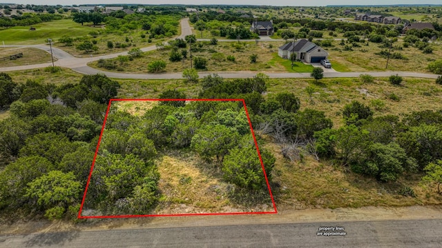 85 Coghill Dr, Possum Kingdom Lake TX, 76449 land for sale