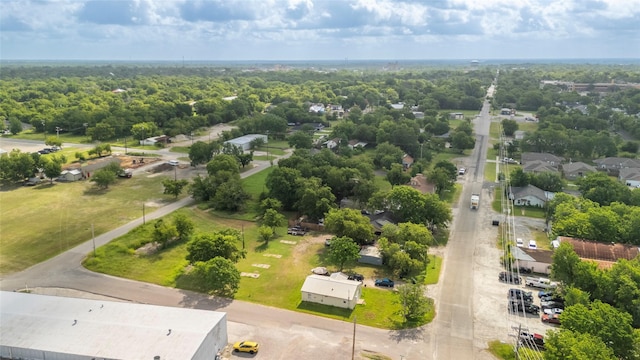 bird's eye view